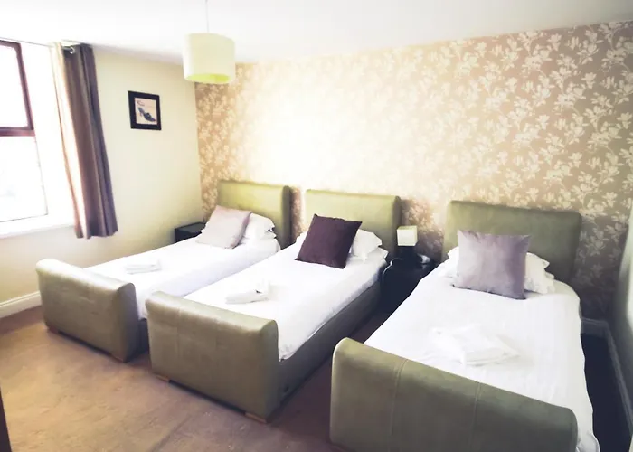 فندق The Kings Arms شاب